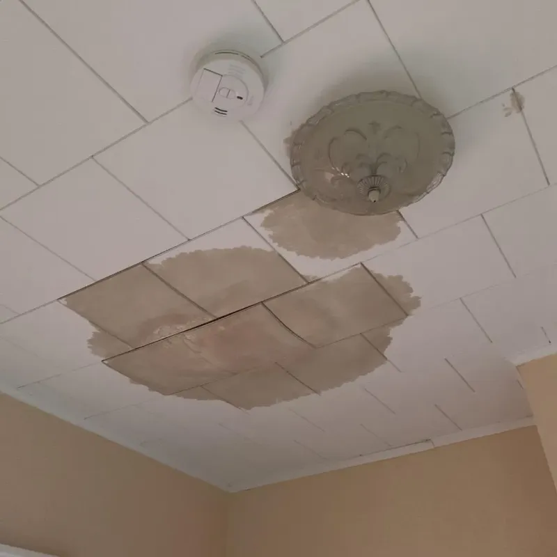 Ceiling Water Damage Repair in Virginia Gardens, FL