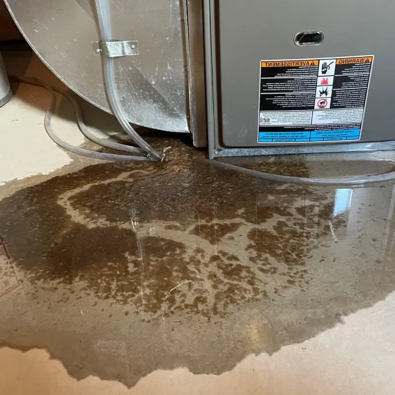 Pipe Burst and Leak Restoration in Virginia Gardens, FL